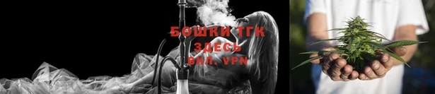 гашик Арсеньев
