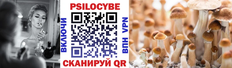 Псилоцибиновые грибы мицелий  Аша 